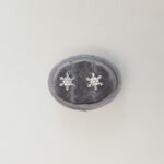 JWL-2023-00011-Mini-Snowflakes-Earrings-Platinum-White-Ear-Needle